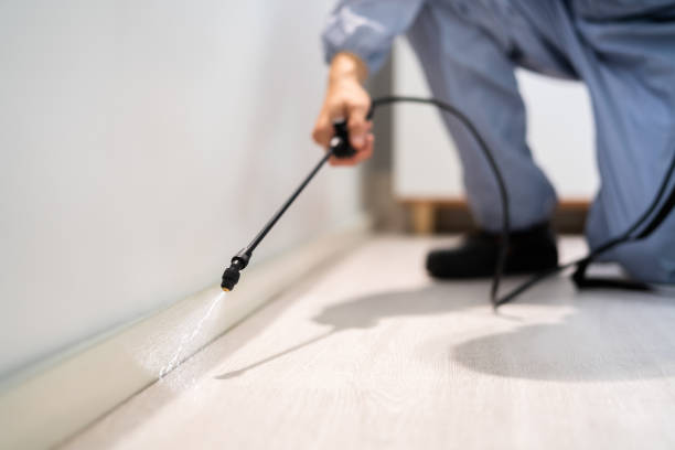 Professional exterminator conducting IPM assessment in Apple Valley