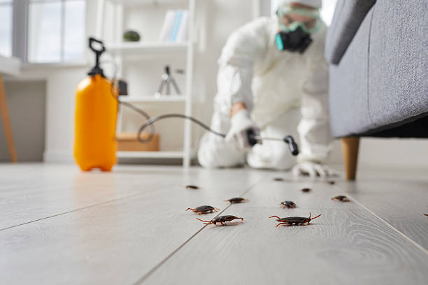 Commercial Rodent Management in Apple Valley